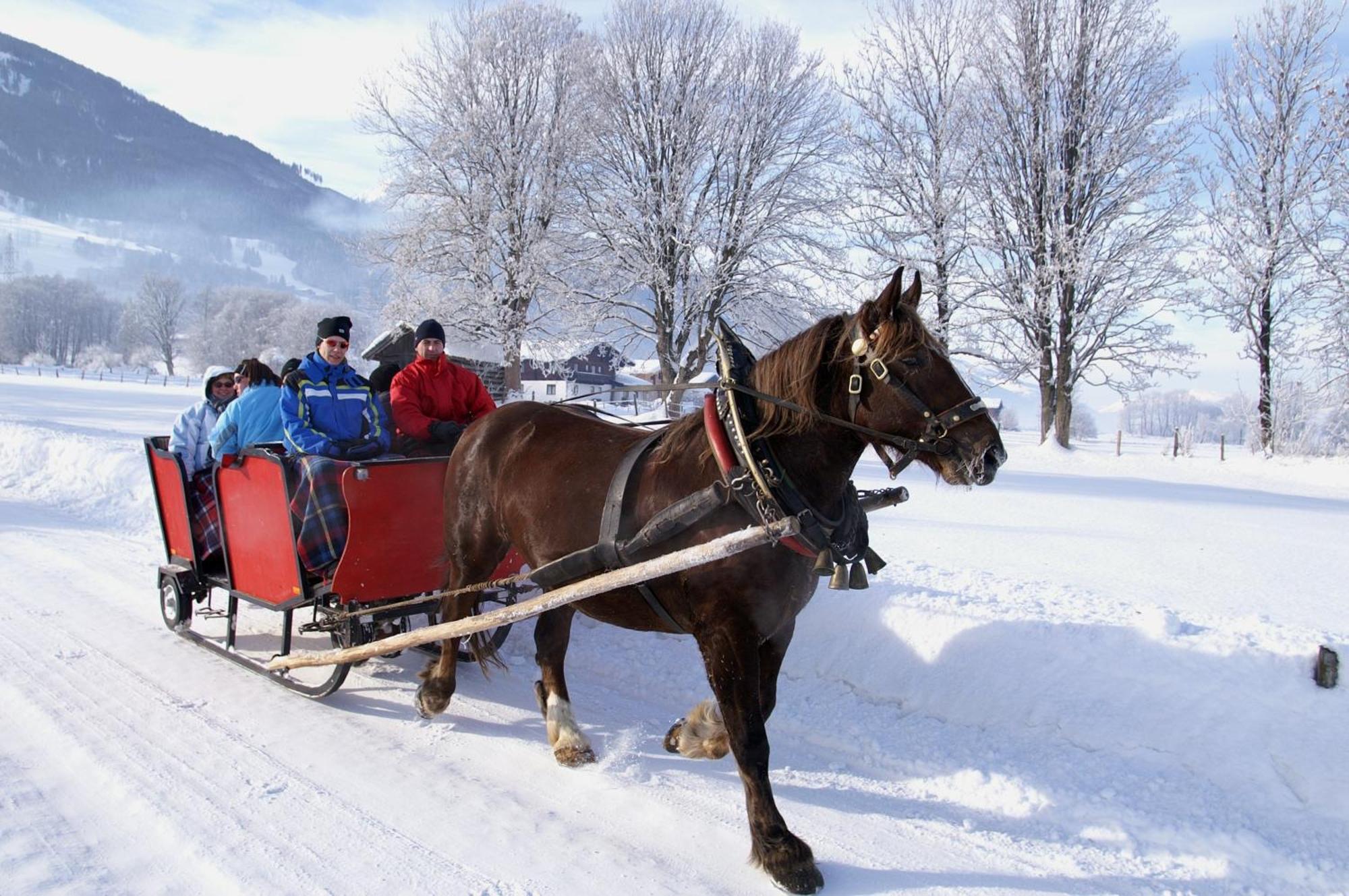 Hotel Gasthof Kroell - Inkl Nationalpark-Karte, 1 X Grossglockner Hochalpenstrasse Kostenlos, 1X Gerlos Alpenstrasse Kostenlos, Krimmler Wasserfaelle Kostenlos, Verschiedene Bergbahnen Kostenlos, Badesee Kostenlos, Bus & Zug Kostenlos, Genusskueche, Niedernsill Exterior photo