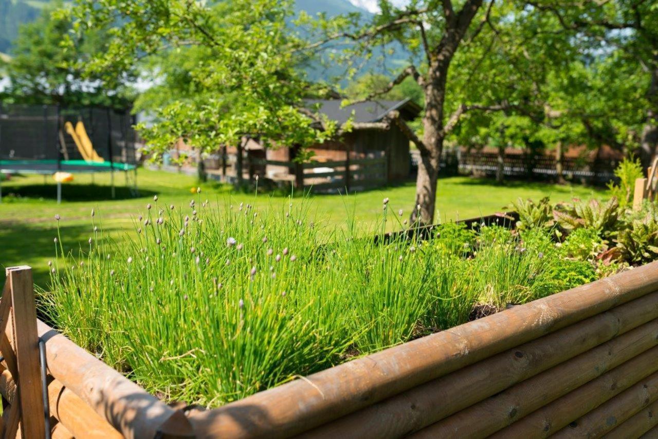 Hotel Gasthof Kroell - Inkl Nationalpark-Karte, 1 X Grossglockner Hochalpenstrasse Kostenlos, 1X Gerlos Alpenstrasse Kostenlos, Krimmler Wasserfaelle Kostenlos, Verschiedene Bergbahnen Kostenlos, Badesee Kostenlos, Bus & Zug Kostenlos, Genusskueche, Niedernsill Exterior photo